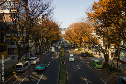 Photography Omotesando Street