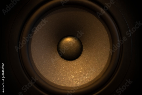 Close-up of a professional golden sound speaker  only the speaker cone isolated. Music concept. Mixing and mastering. Professional quality sound. Audio engineer.