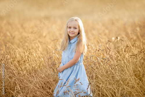 A little blonde girl is standing in a wheat field in summer.