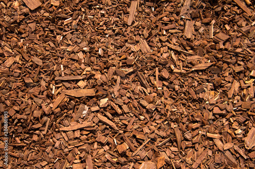 Carpenter wood particles.