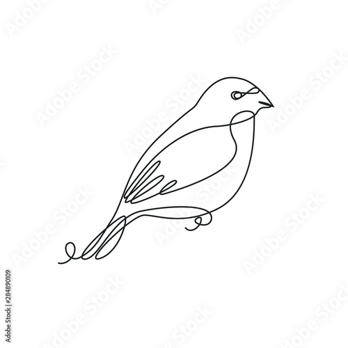 Bullfinch one line drawing on white isolated background. Vector illustration
