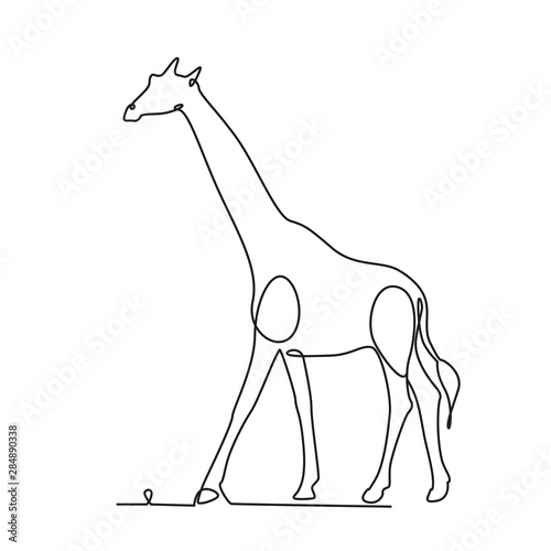 Giraffe one line drawing on white isolated background. Vector illustration