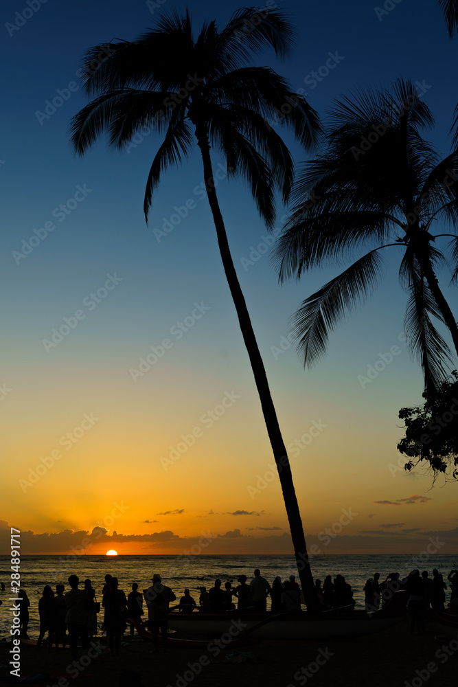 Obraz premium Waikiki Sunset