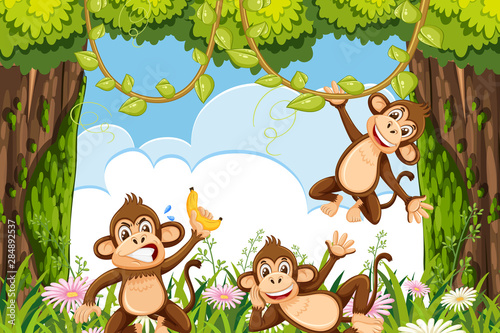 Fototapeta Naklejka Na Ścianę i Meble -  Cheeky monkeys in jungle scene