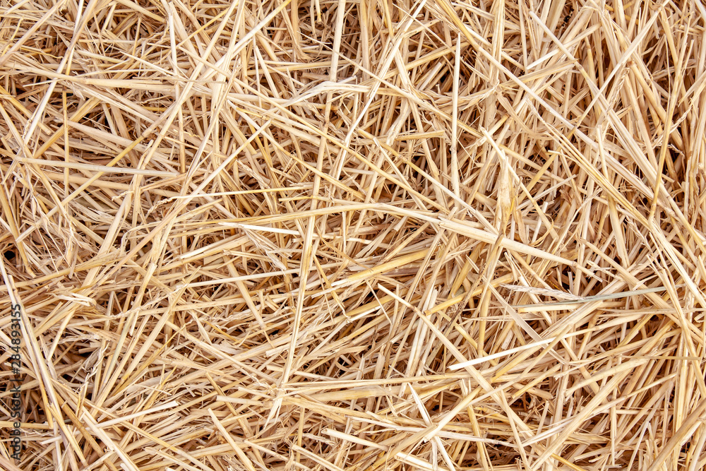 straw lying in stacks on the field straw lying in stacks on the field