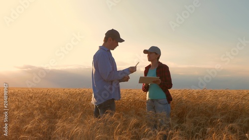 Farmers male and female working with a tablet in a wheat field, in the sunset light. businessmen studies income in agriculture. agronomists with tablet study wheat crop in field. agriculture concept.