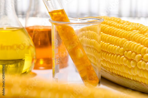 Biofuel or Corn Syrup, gaso...