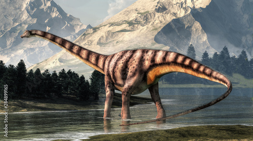 Diplodocus was a sauropod dinosaur that lived in North America during the late Jurassic. Here is is pictured wading in a shallow river.   3D Rendering. photo
