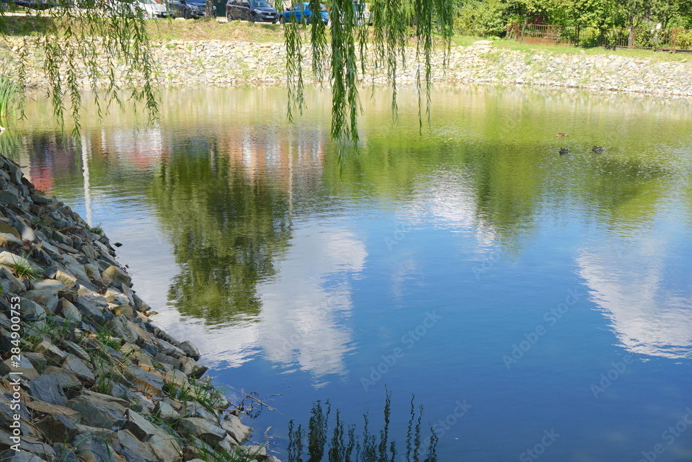 lake with wild ducks and reflection of sky in water lake with wild ducks and reflection of sky in water