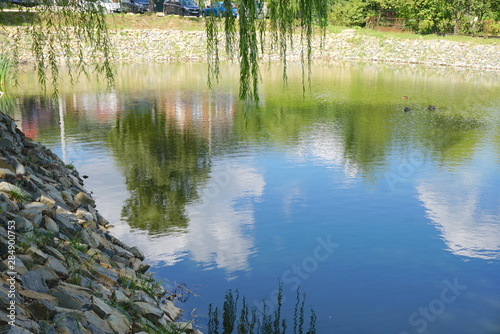 lake with wild ducks and reflection of sky in water