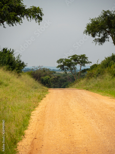 Queen Elizabeth Park scenery, Uganda