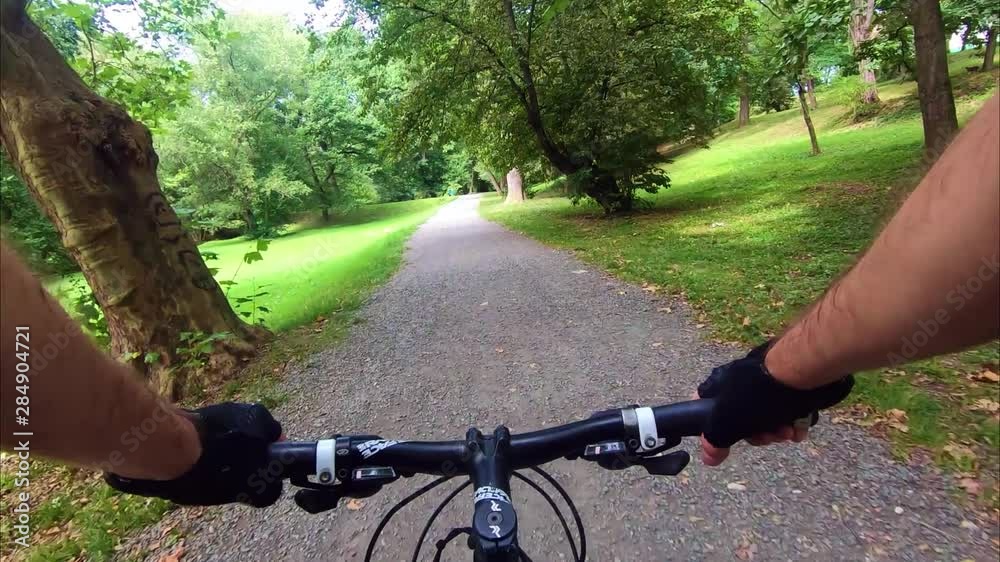 Bicycling on the road through forest Bicycling on the road through forest