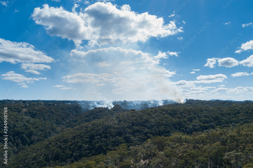 A small bushfire burning in gum trees in the mountains