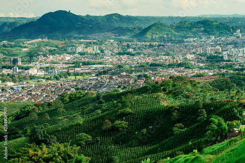 aerial view of the city