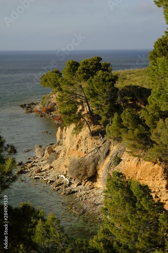 Landschaft und Steilküste bei Betlem auf der Halbinsel Llevant im Naturpark Llevant, Mallorca, Balearen, Spanien