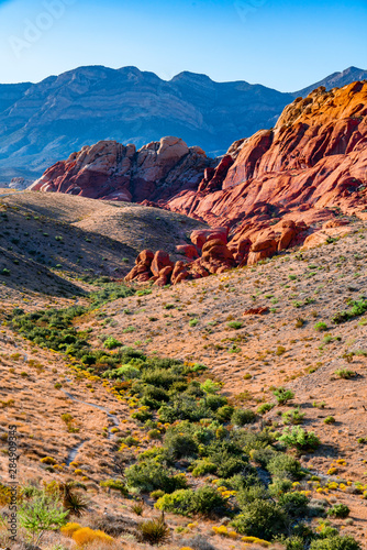 red rock canyon