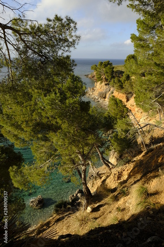 Landschaft und Steilküste bei Betlem auf der Halbinsel Llevant im Naturpark Llevant, Mallorca, Balearen, Spanien