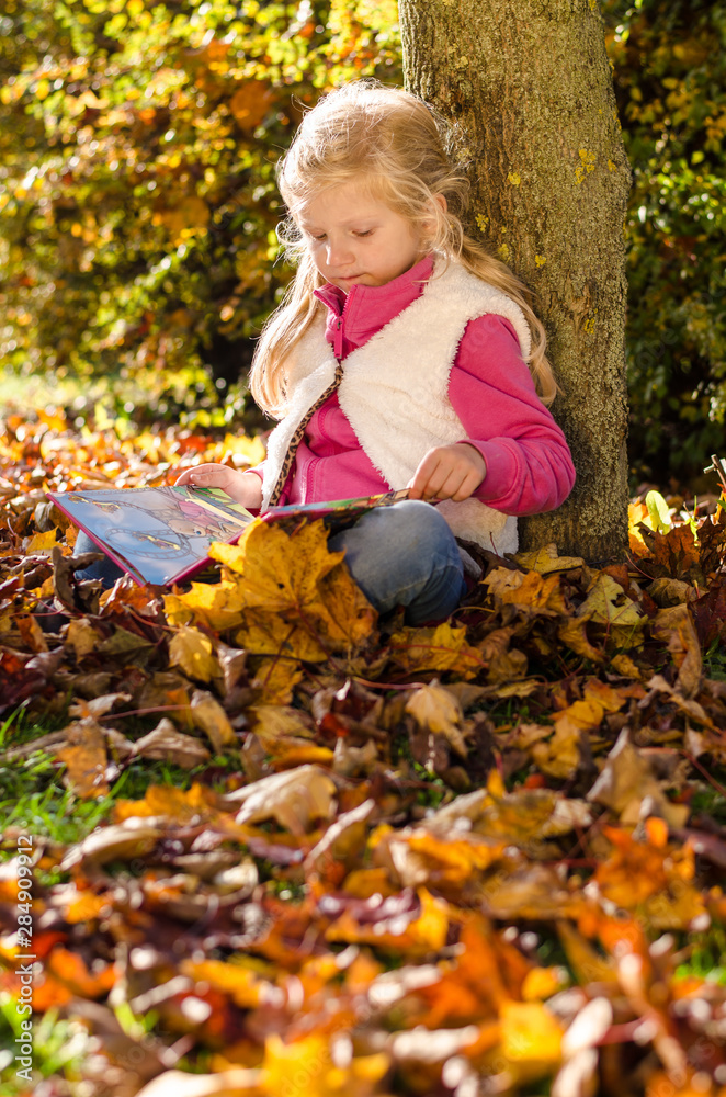 adorable blond child reading book by the trunk in autumnal sunset afmosphere adorable blond child reading book by the trunk in autumnal sunset afmosphere