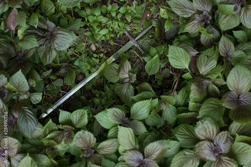 medieval sword in the grass photo