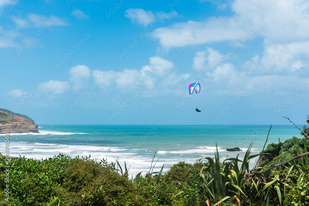 Paragliding. Flying Above Muriwai Beach, Auckland Area, North Island of New Zealand