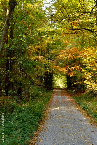 Der Steigerwald bei Ebrach im Naturpark Steigerwald, Landkreis Bamberg, Unterfranken, Franken, Deutschland