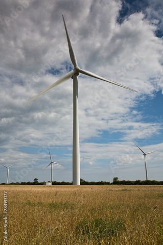 Wind Turbines in a corn field