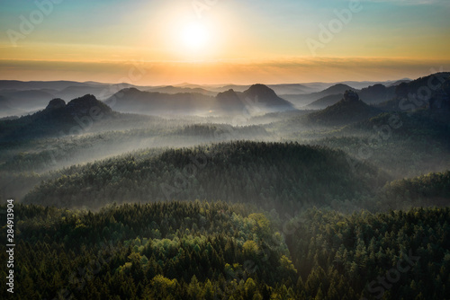 Foggy forest during autumn sunrise, Saxon Switzerland, Germany © marekkijevsky