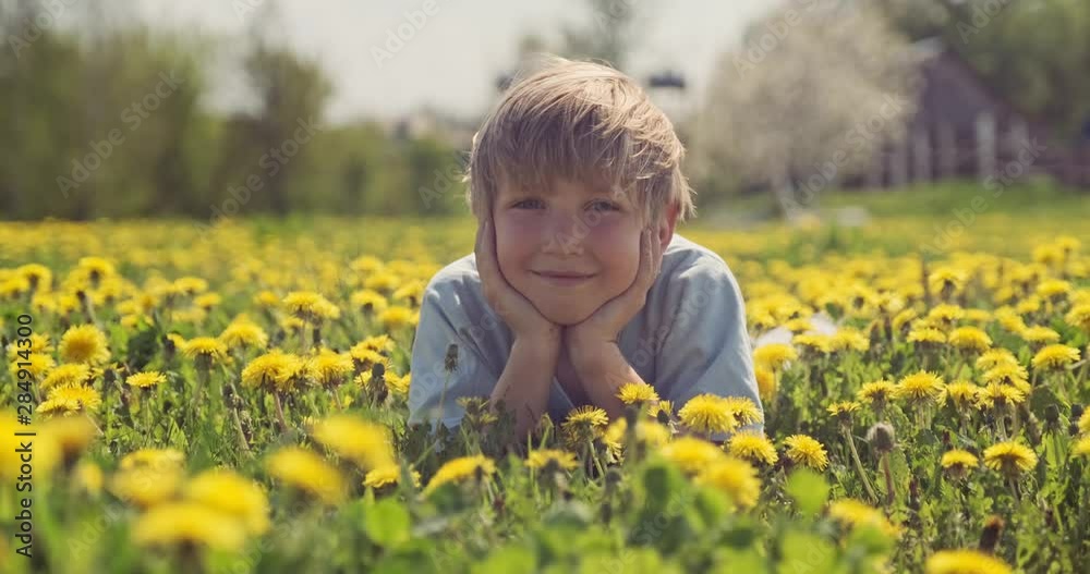 Happy little boy lies on a spring meadow. Cheerful child lies on camomile's field. Cute little kid of a blond hair boy, on the meadow full of daisies. Happy little boy lies on a spring meadow. Cheerful child lies on camomile's field. Cute little kid of a blond hair boy, on the meadow full of daisies.
