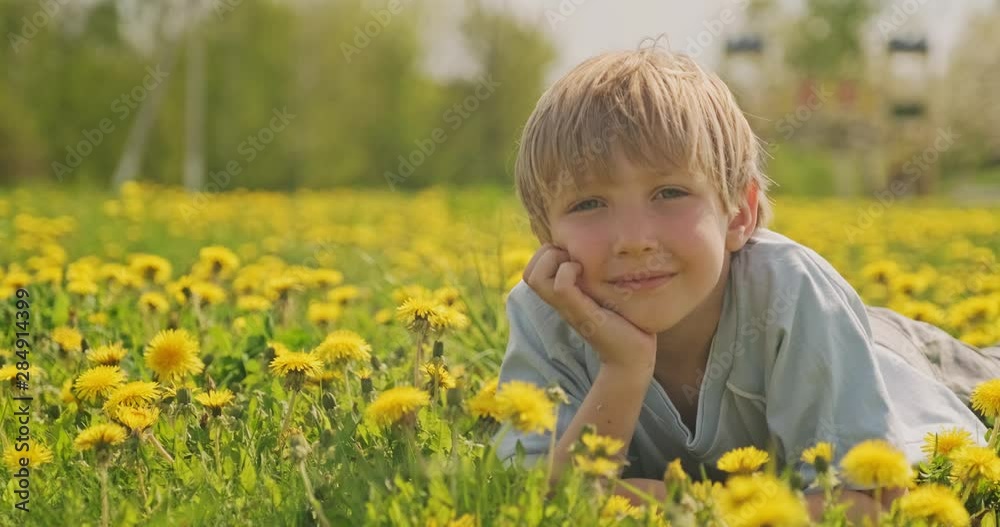 Pretty caucasian boy lying on a spring meadow and looks. Happy child lies on camomile field, closeup view. Cute smiling face of a blond hair boy, on the meadow. Happiness and childhood. Slow motion Pretty caucasian boy lying on a spring meadow and looks. Happy child lies on camomile field, closeup view. Cute smiling face of a blond hair boy, on the meadow. Happiness and childhood. Slow motion