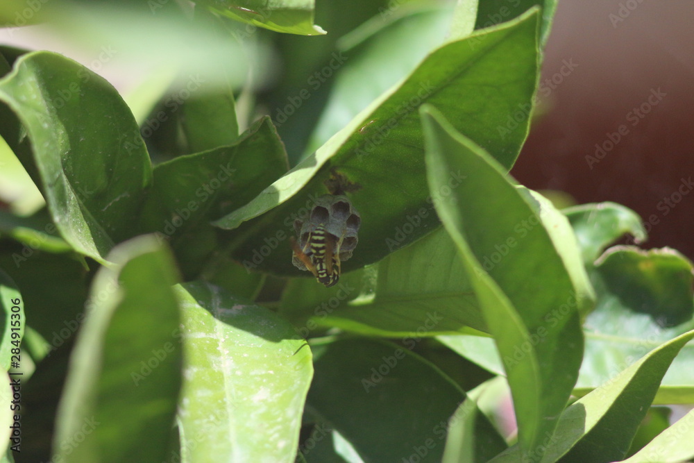 Fototapeta premium Travel in Mallorca