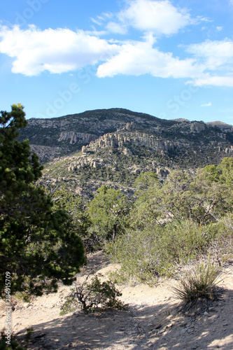 landscape with mountains and trees