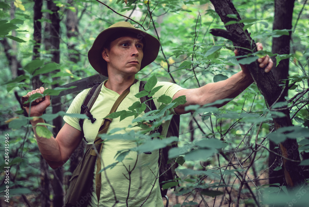 Tourist in hat with a backpack and machetes is walking in forest thickets.