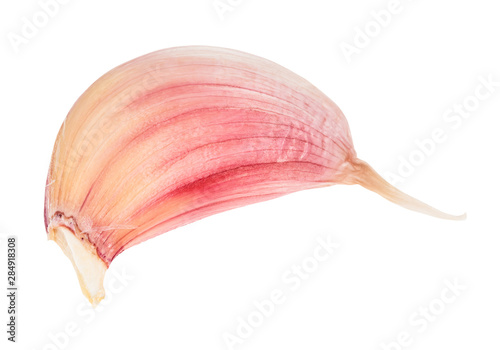 unpeeled clove of fresh natural organic garlic