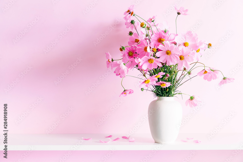 Fresh summer bouquet of pink cosmos flowers in white vase on white wood shelf on pink wall background. Floral home decor. - obrazy, fototapety, plakaty 