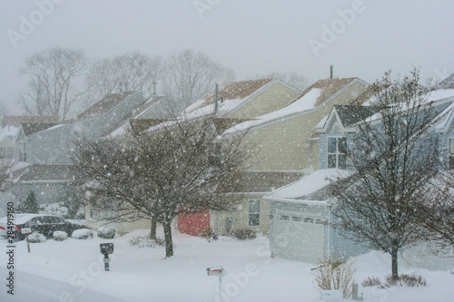 winter landscape with trees and snow