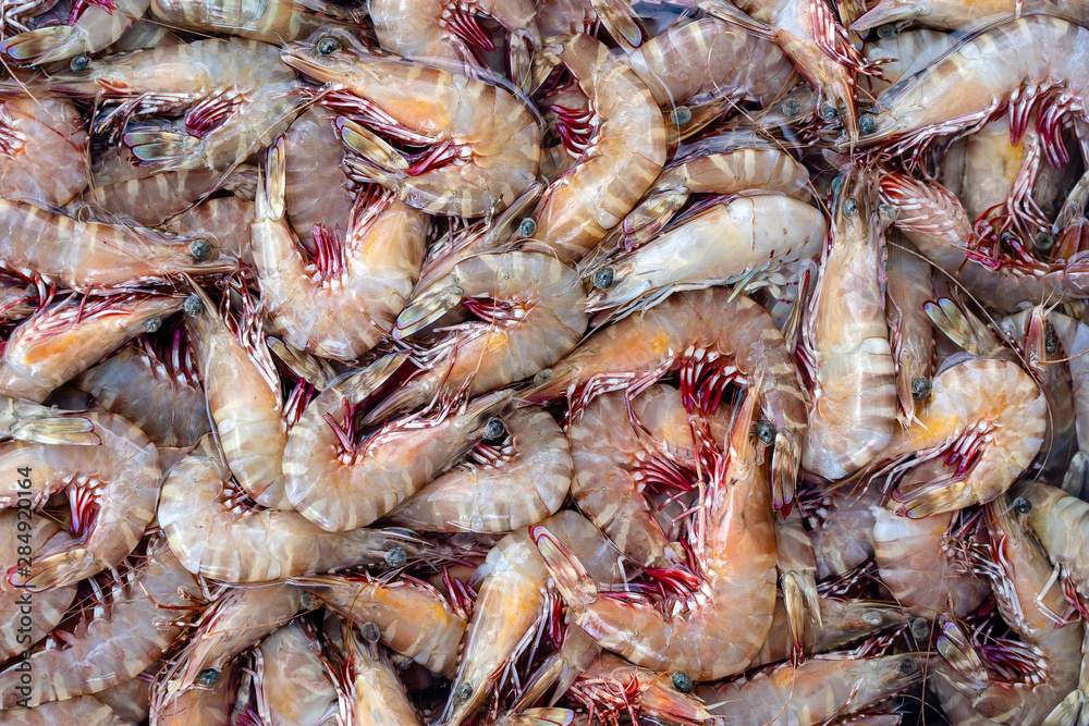 Sea fresh shrimps at street market in Thailand. Seafood concept.