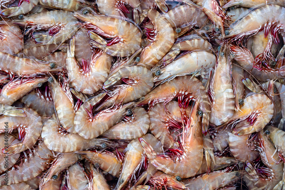 Sea fresh shrimps at street market in Thailand. Seafood concept. Sea fresh shrimps at street market in Thailand. Seafood concept.