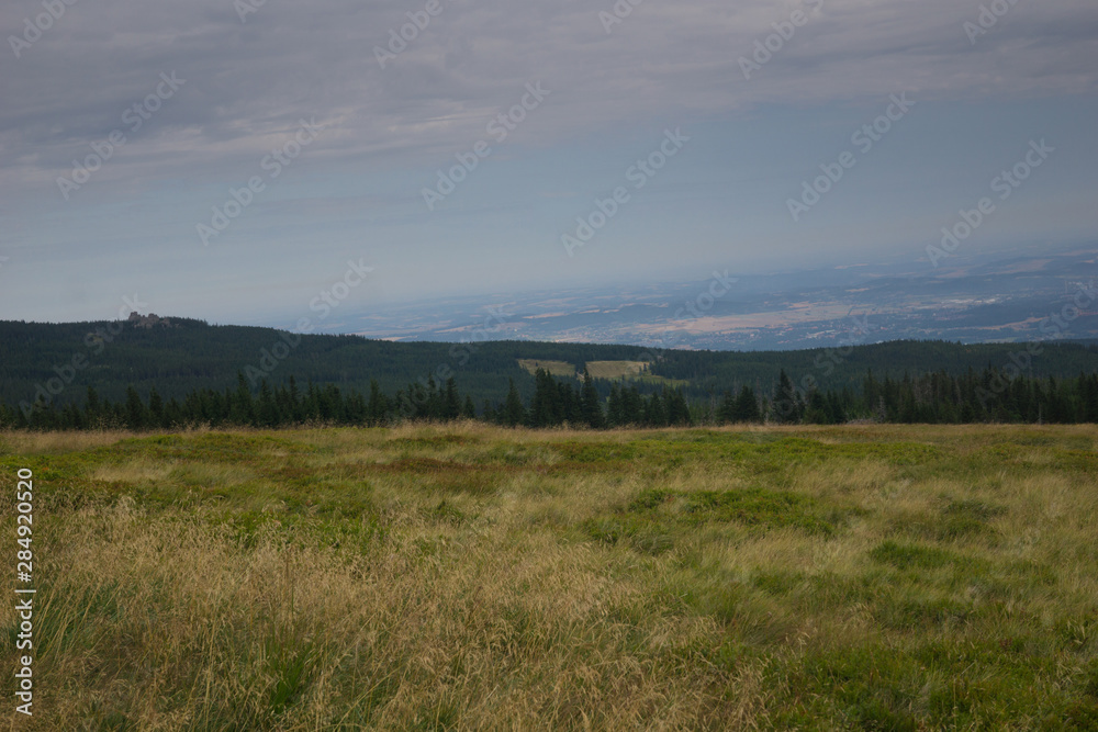 on the slope of Zlotowka in the Karkonosze/Krkonose/Giant Mountains in Poland in summer