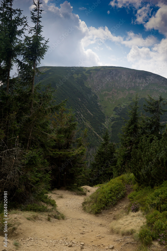 Fototapeta premium trail through Obri Dul to Sniezka mountain in the Krkonose/Karkonosze/ Giant MOuntains in the czech Republic in late summer