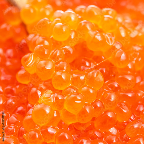 macro photo of red caviar in wooden spoon