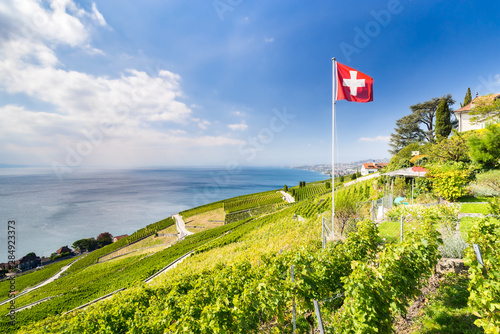 Canvas Print Vineyard cultivation at the Lavaux, Switzerland