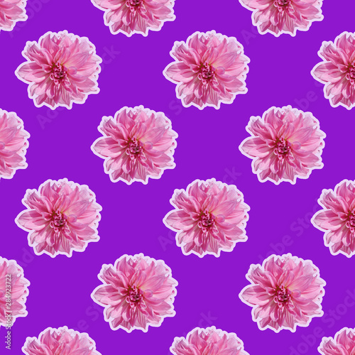 Floral pattern made of pink flower on purple background.