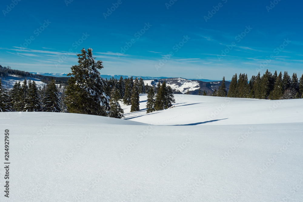 Wandern im Winterwunderland auf dem Feldberg bei strahlendem Sonnenschein
