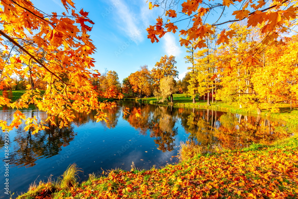 Obraz Złota jesień (park) w parku Aleksandra, Carskie Sioło (Puszkin) Sankt Petersburg, Rosja