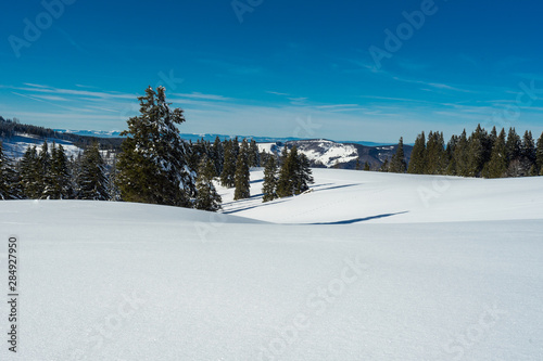 Wandern im Winterwunderland auf dem Feldberg bei strahlendem Sonnenschein © Julia Hermann