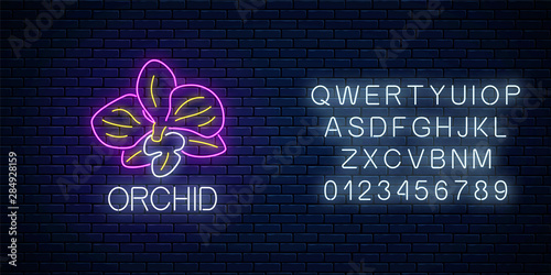 Glowing neon orchid flower sign with alphabet. Floral symbol with orchid in neon style. Vector illustration.