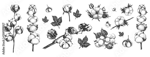Cotton flowers composition