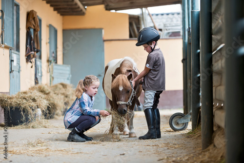 Germany, NRW, Korchenbroich, Boy and Girl at riding stable with mini Shetland pony photo