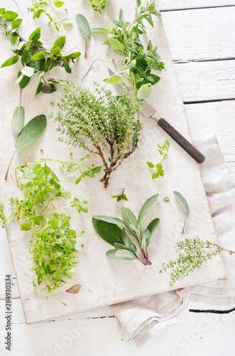 Fresh mixed herbs like sage Salvia, oregano Origanum vulgare, thyme Thymus, chickweed Stellaria media and peppermint Mentha piperita on white chopping board with knife and napkin