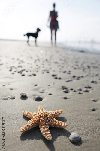 Germany, Lower Saxony, East Frisia, Langeoog, sea star and silhouette of a woman and her dog at the beach photo